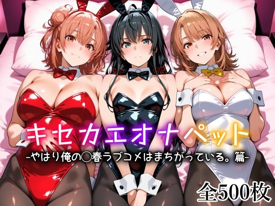 [制服]キセカエオナペット -やはり俺の◯春ラブコメはまちがっている篇-｜愛玩ファクトリー 評価5.00