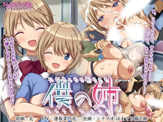 [辱め]いじめっ子に犯●れる僕の姉｜ゆかりソフト 評価4.82