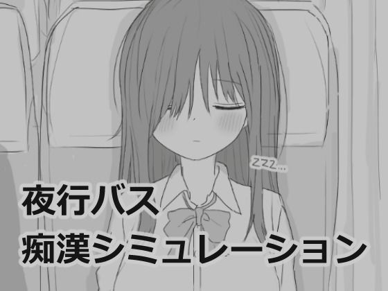 [制服]夜行バス痴●シミュレーション｜エロフラ部 評価4.86