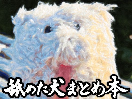 [ギャグ・コメディ]舐めた犬まとめ本｜舐めた犬 評価4.86