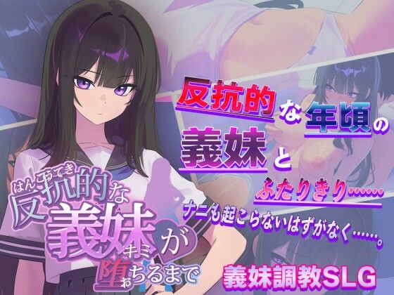 [羞恥]反抗的な義妹（きみ）が堕ちるまで｜からあげカンパニー 評価3.56