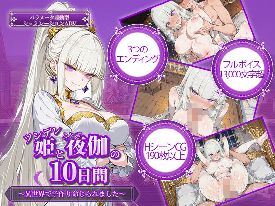 [ファンタジー]ツンデレ姫と夜伽の10日間 〜異世界で子作り命じられました〜｜電脳ヒロインズ 評価