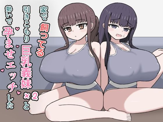 [デモ・体験版あり]家で飼ってる引きこもり巨乳義妹×2と勢いで孕ませエッチした｜にしかわ屋 評価