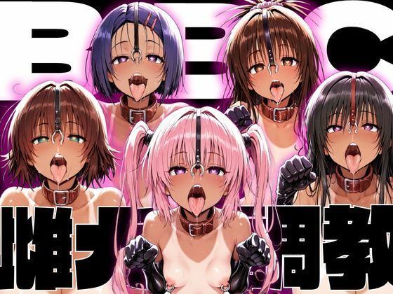 [制服]ToLo〇eるBBC雌犬調教｜NTRELION 評価