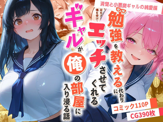 [制服]勉強を教える代わりにエッチをさせてくれるギャルが俺の部屋に入り浸る話 〜清楚と小悪魔ギャルの純愛編〜｜夜の快楽 評価