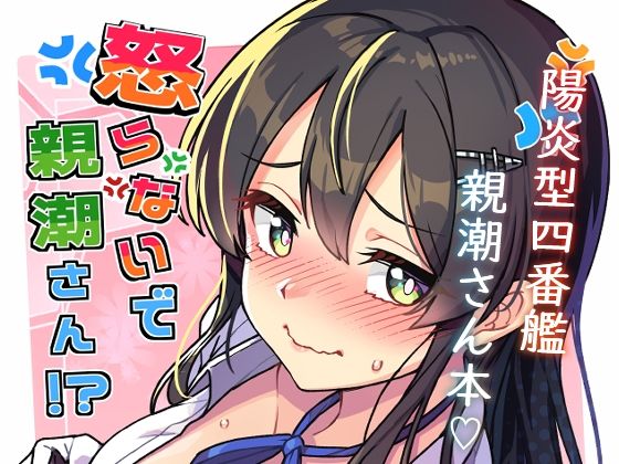 [辱め]怒らないで親潮さん｜たけ家 評価